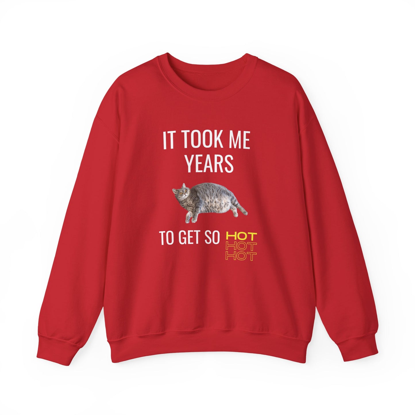 It Took Me Years to Get This Hot – Funny Chubby Cat Sweatshirt