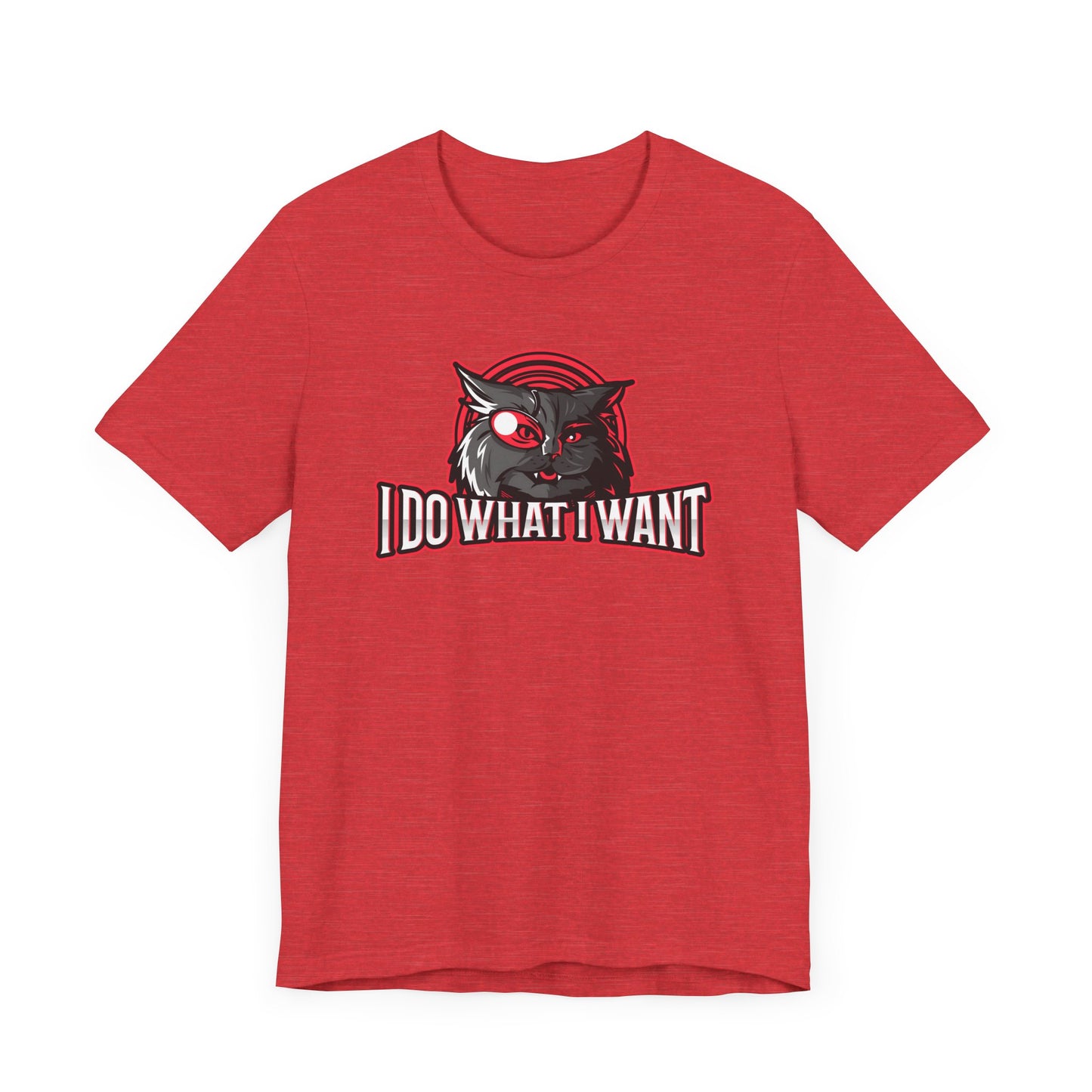 I Do What I Want T-Shirt