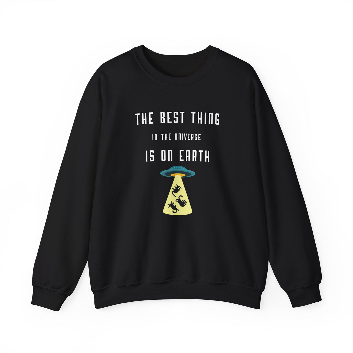 “The Best Thing in the Universe” – unisex, cozy and witty gift idea for cat lovers
