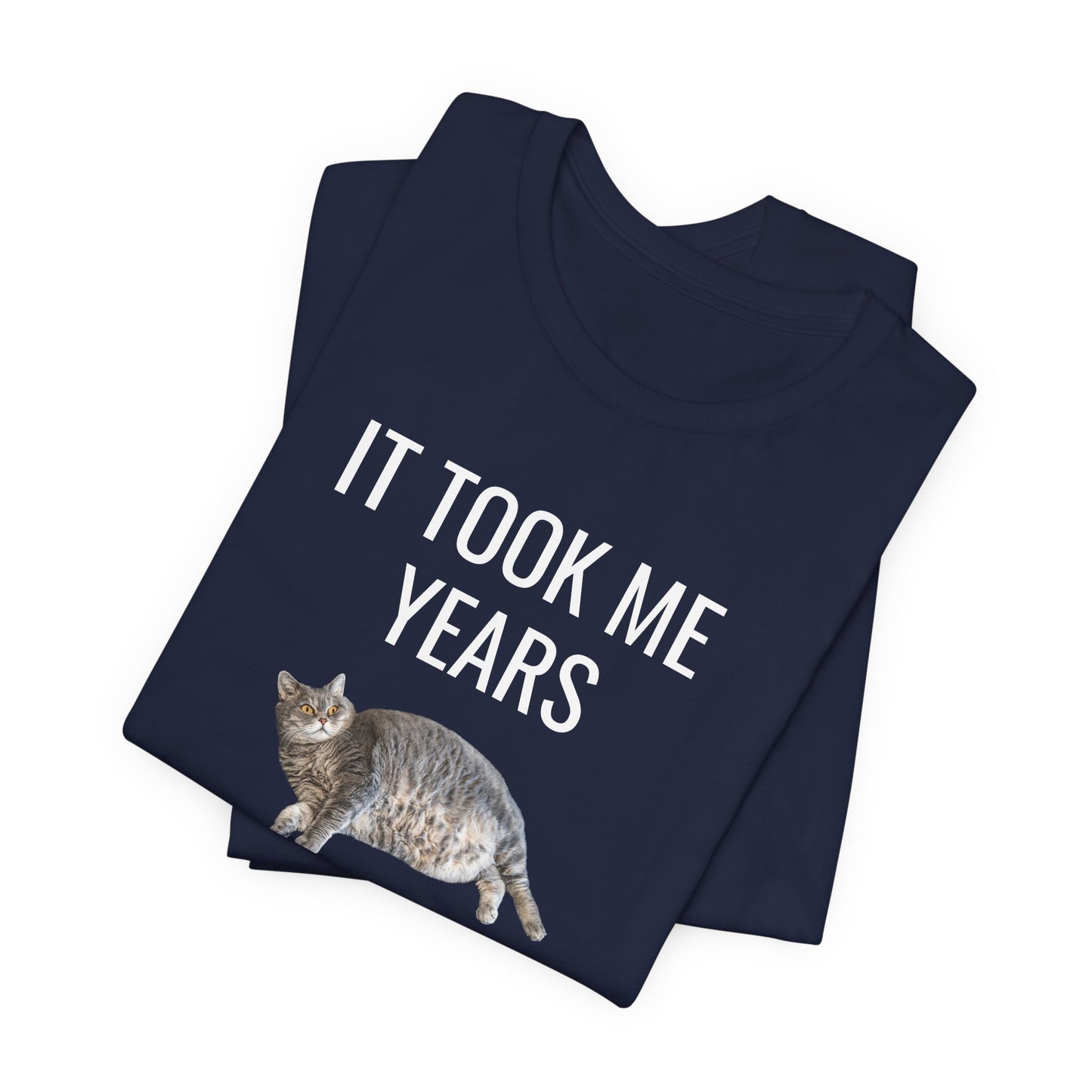 It Took Me Years to Get This Hot – Funny Chubby Cat T-Shirt (Unisex)
