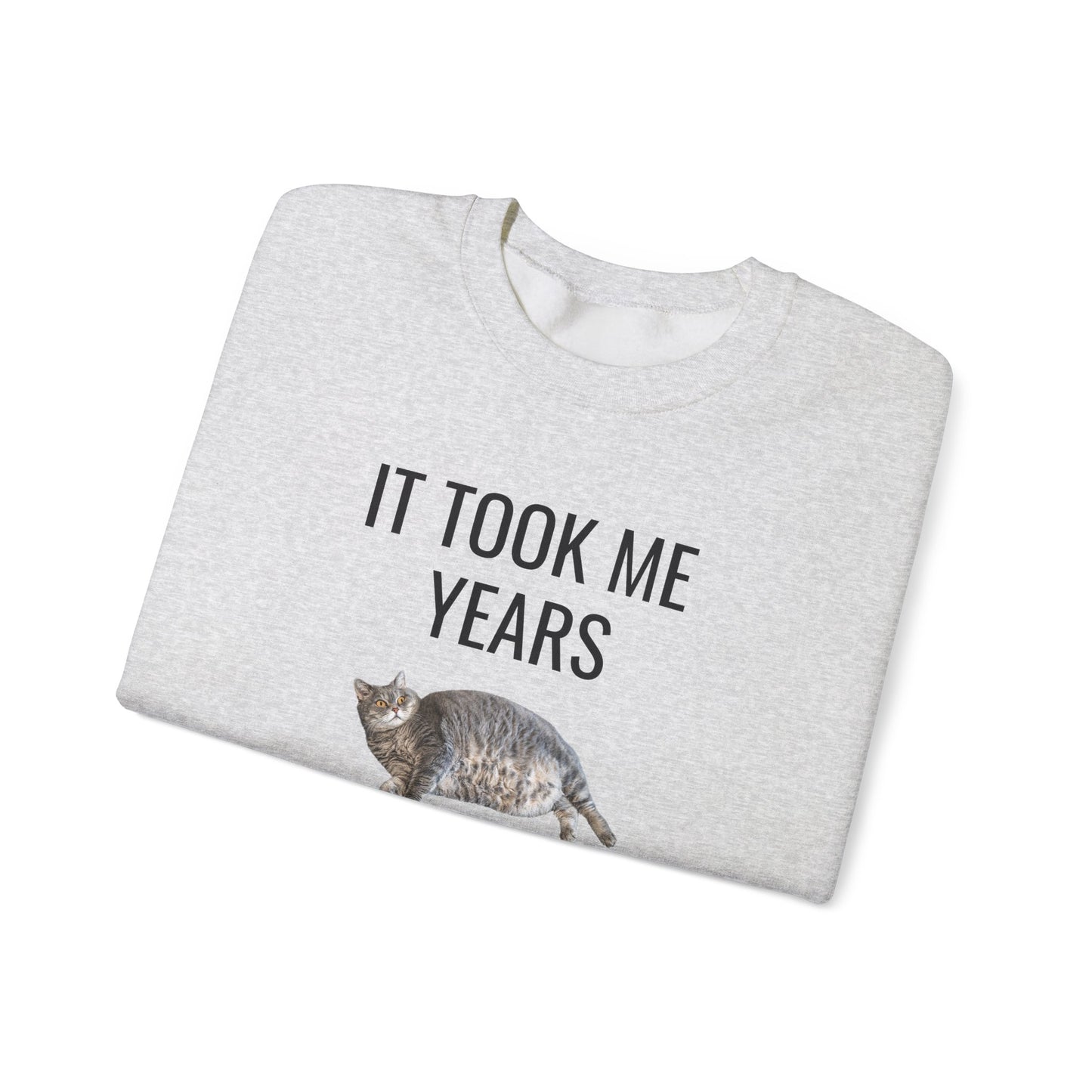 It Took Me Years to Get This Hot – Funny Chubby Cat Sweatshirt