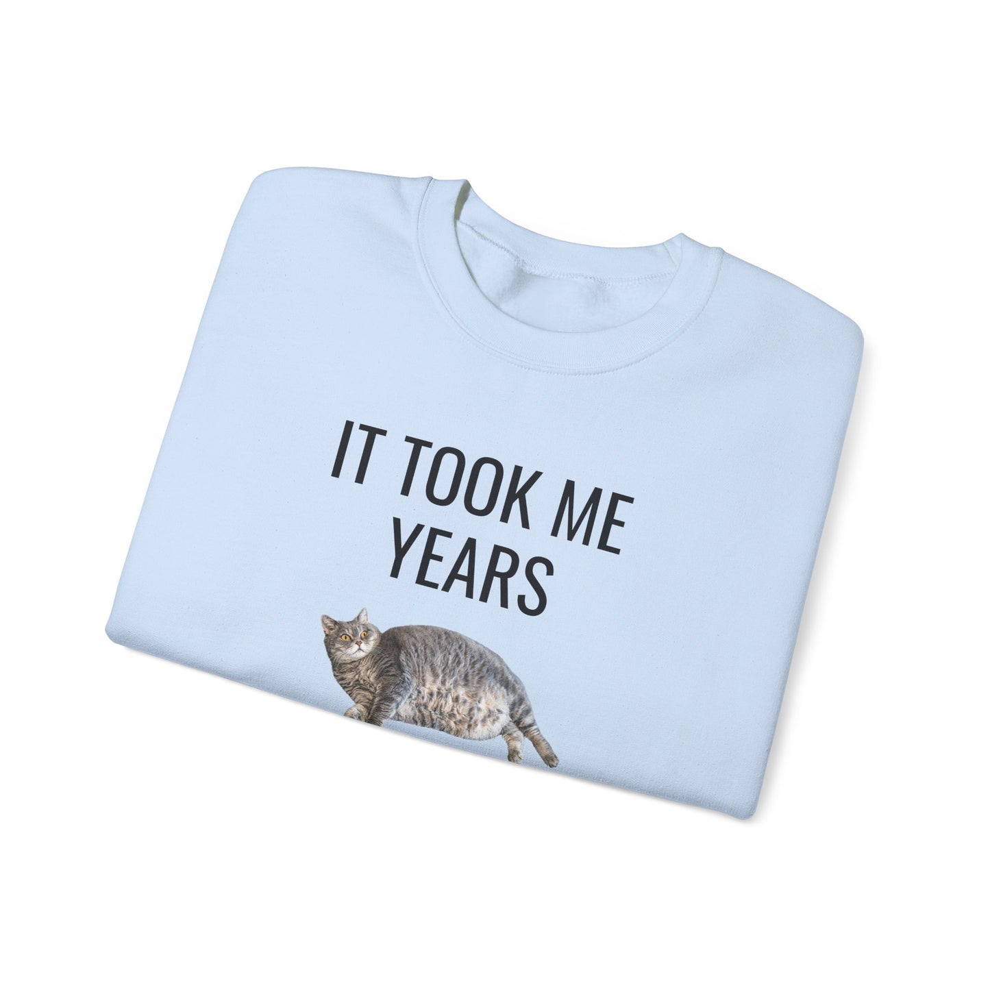It Took Me Years to Get This Hot – Funny Chubby Cat Sweatshirt