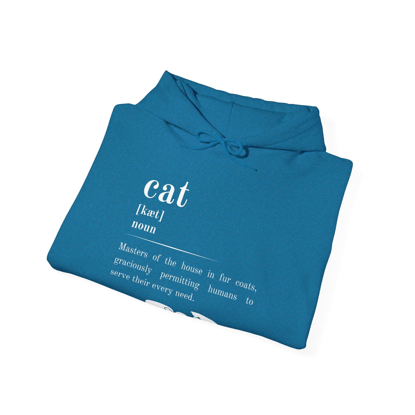 Cat Definition Hoodie