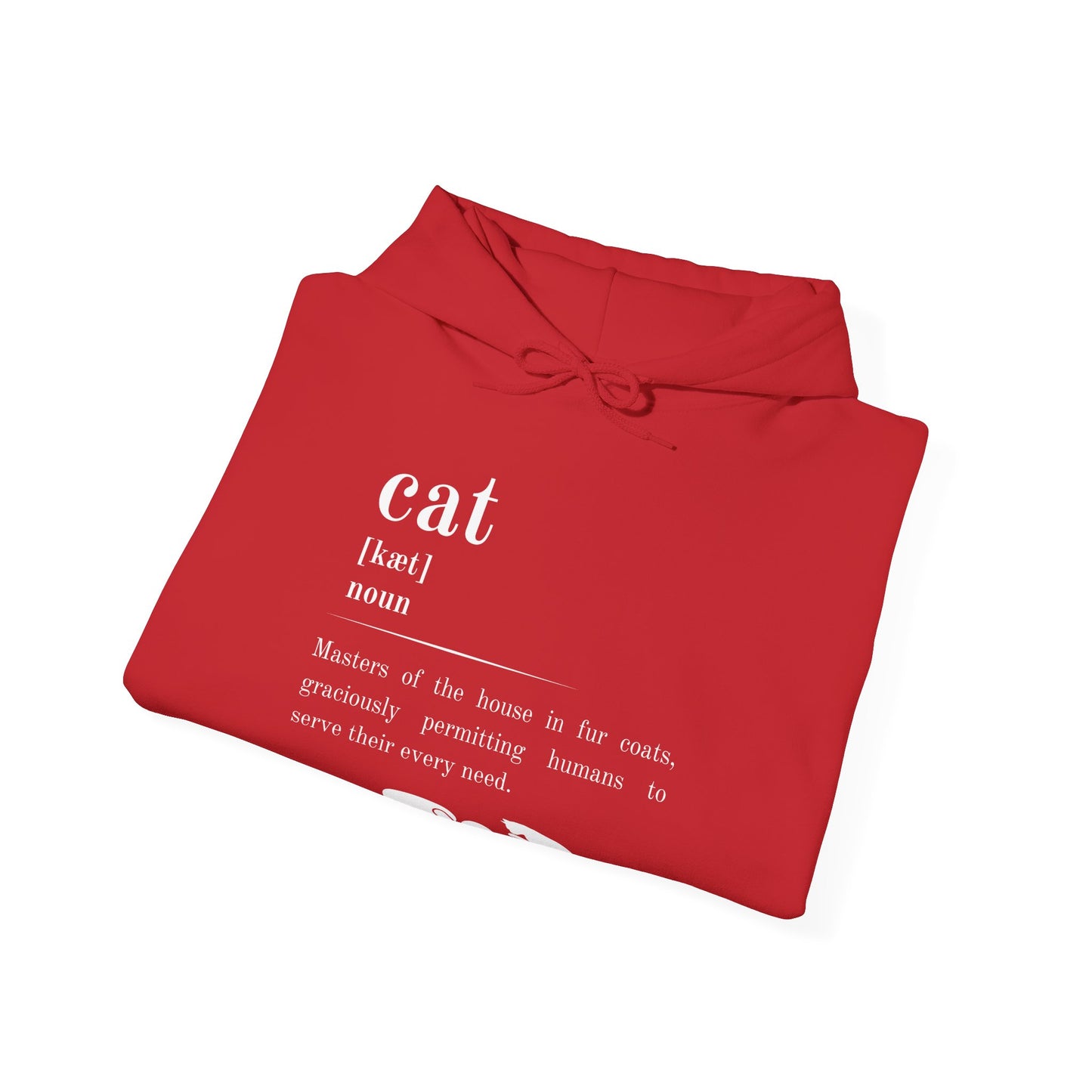 Cat Definition Hoodie
