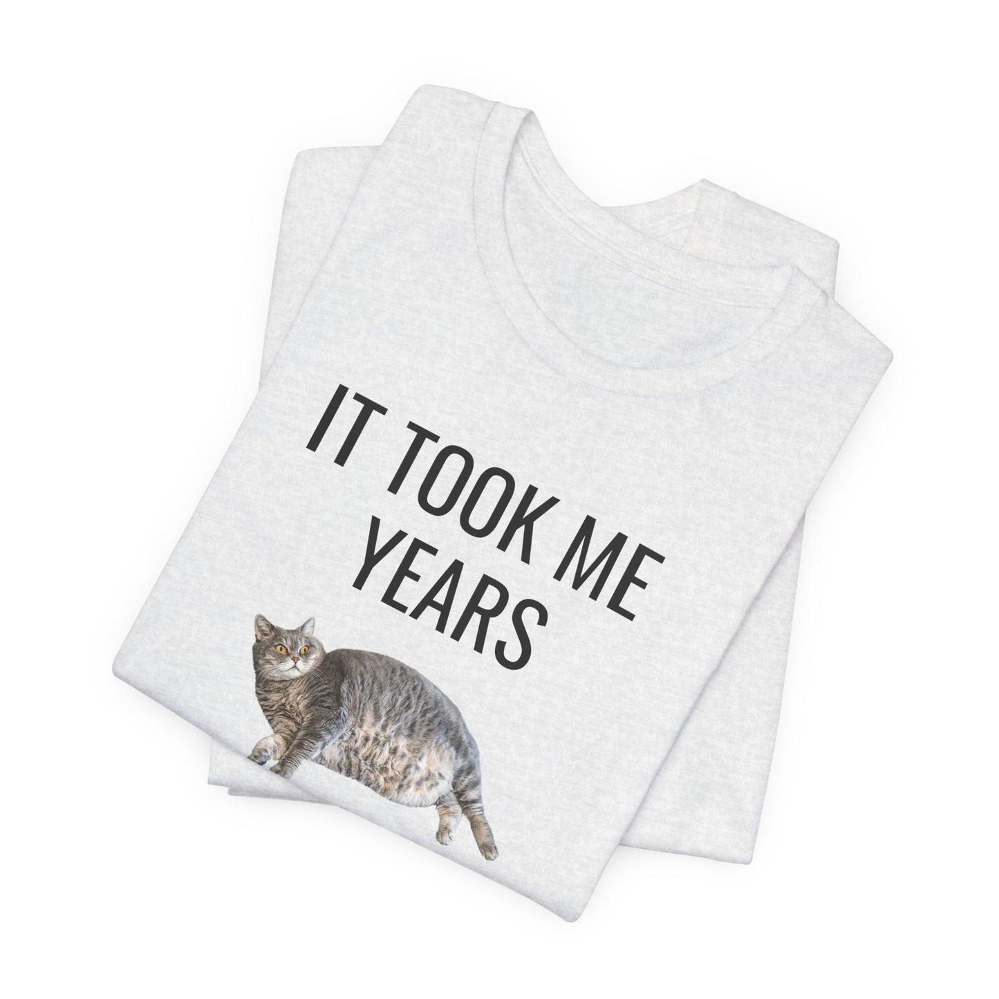 It Took Me Years to Get This Hot – Funny Chubby Cat T-Shirt (Unisex)