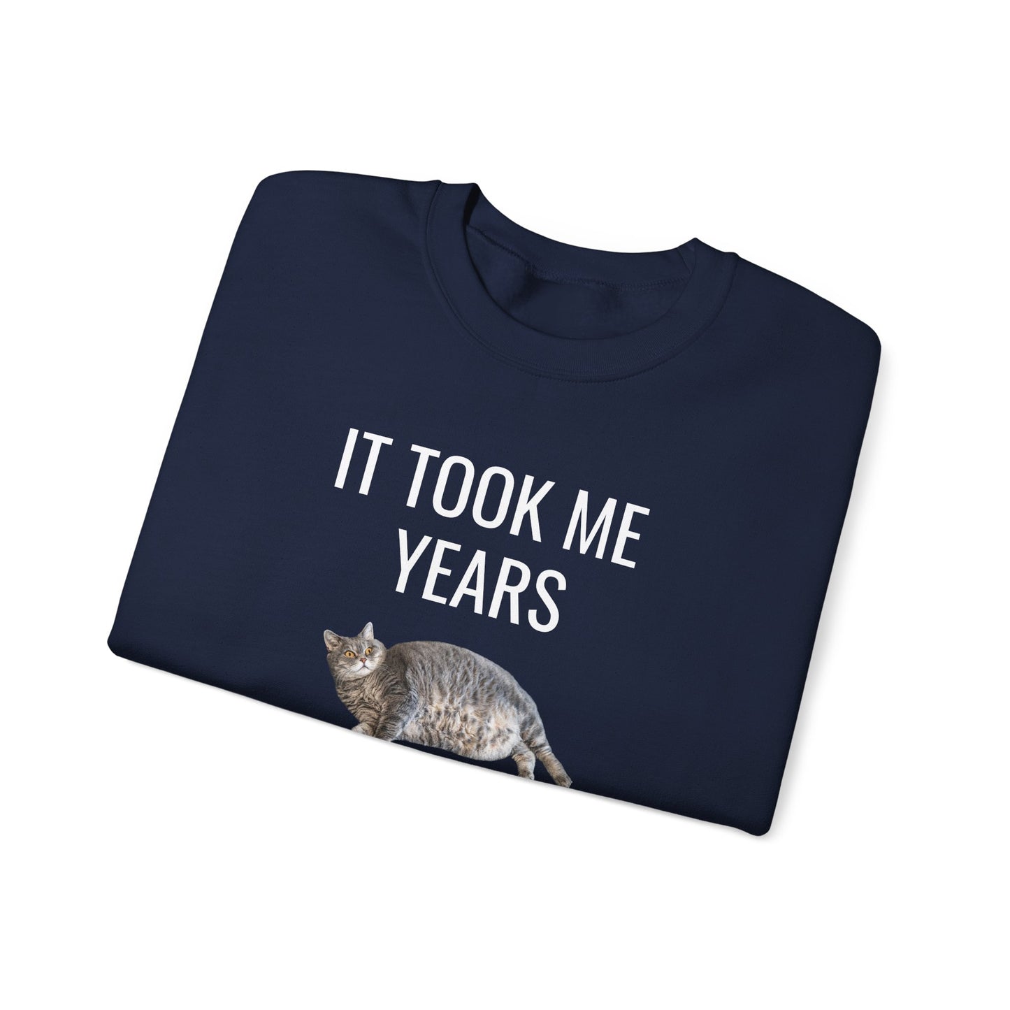 It Took Me Years to Get This Hot – Funny Chubby Cat Sweatshirt
