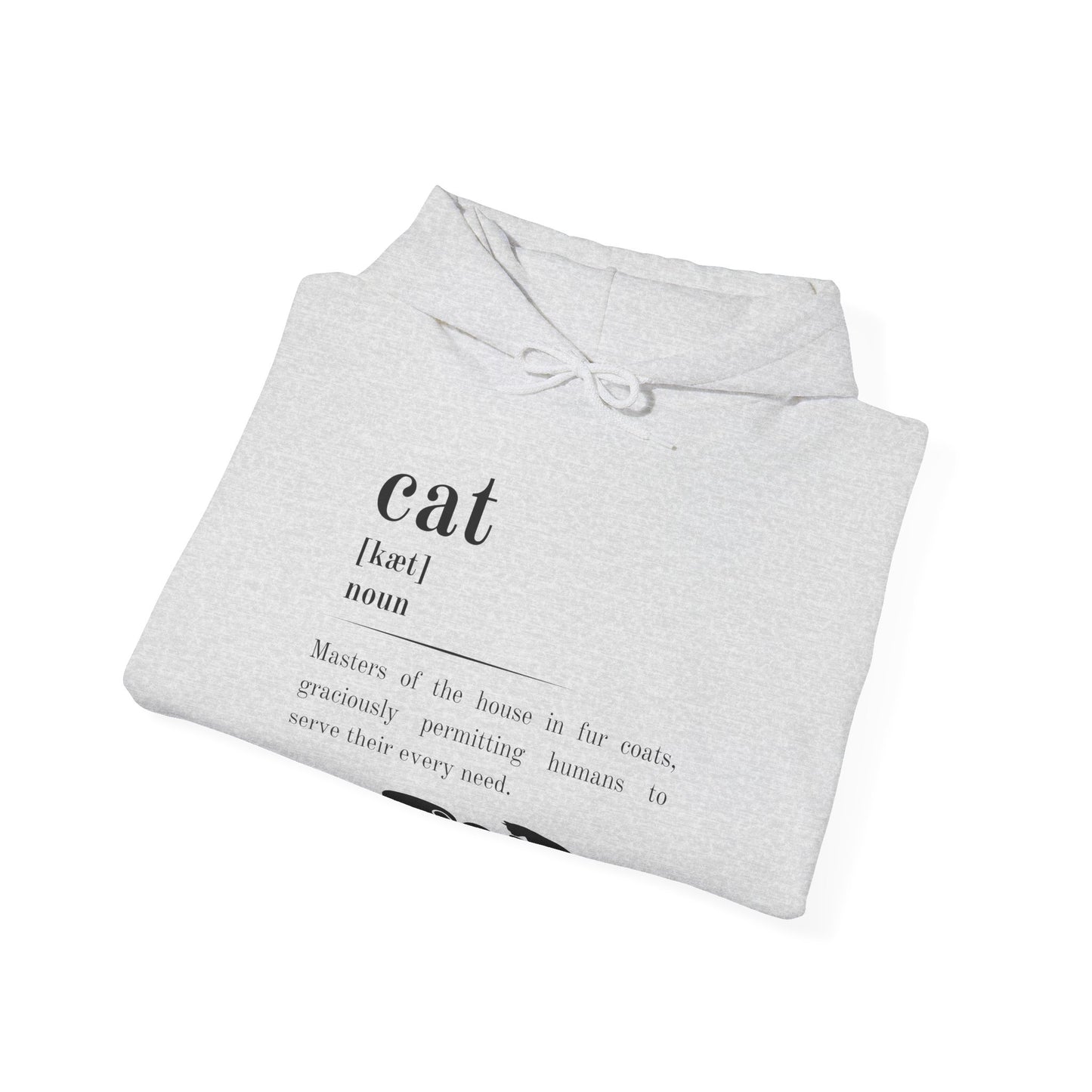 Cat Definition Hoodie
