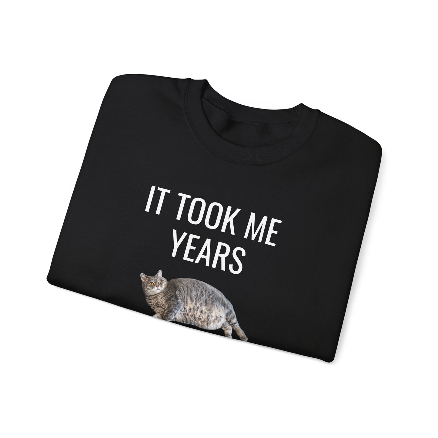 It Took Me Years to Get This Hot – Funny Chubby Cat Sweatshirt