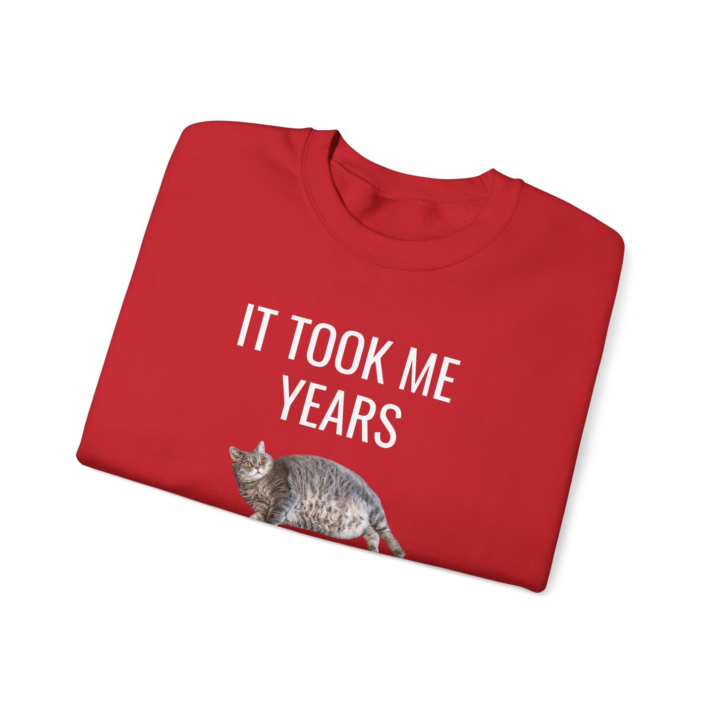 It Took Me Years to Get This Hot – Funny Chubby Cat Sweatshirt