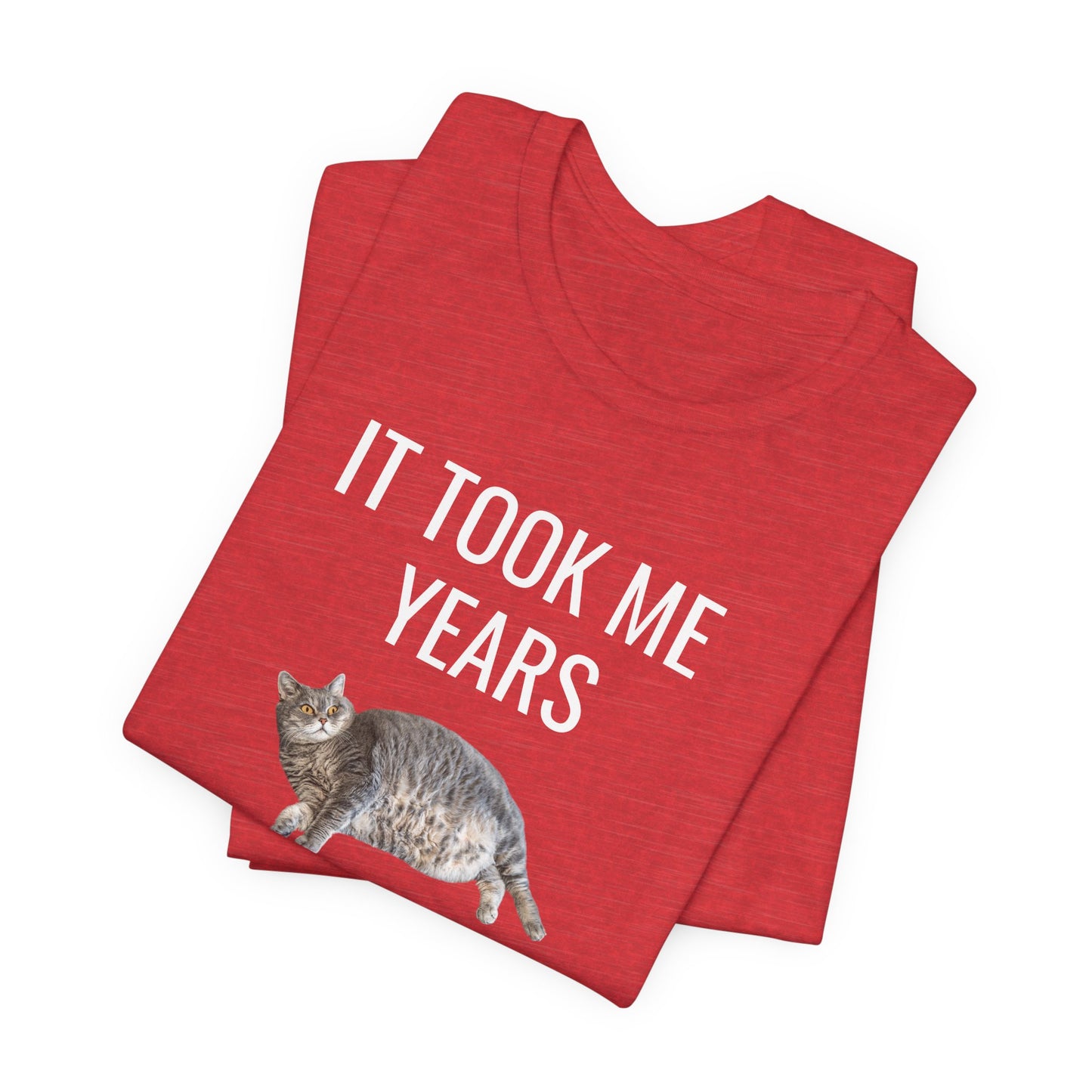 It Took Me Years to Get This Hot – Funny Chubby Cat T-Shirt (Unisex)