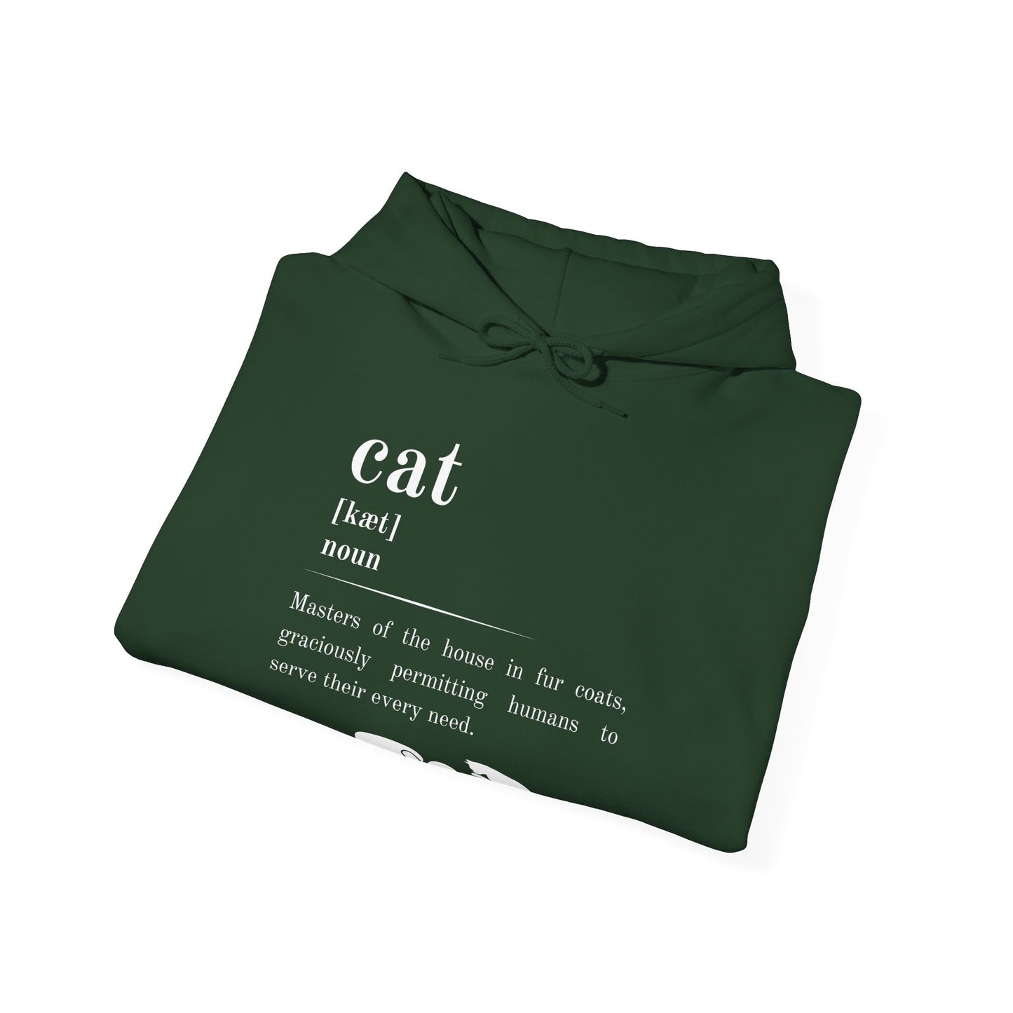 Cat Definition Hoodie
