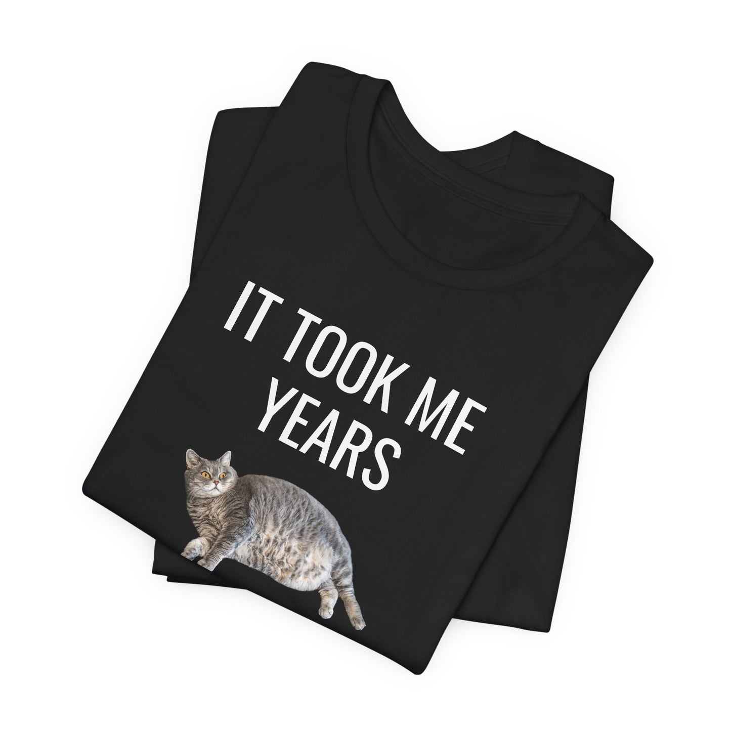 It Took Me Years to Get This Hot – Funny Chubby Cat T-Shirt (Unisex)
