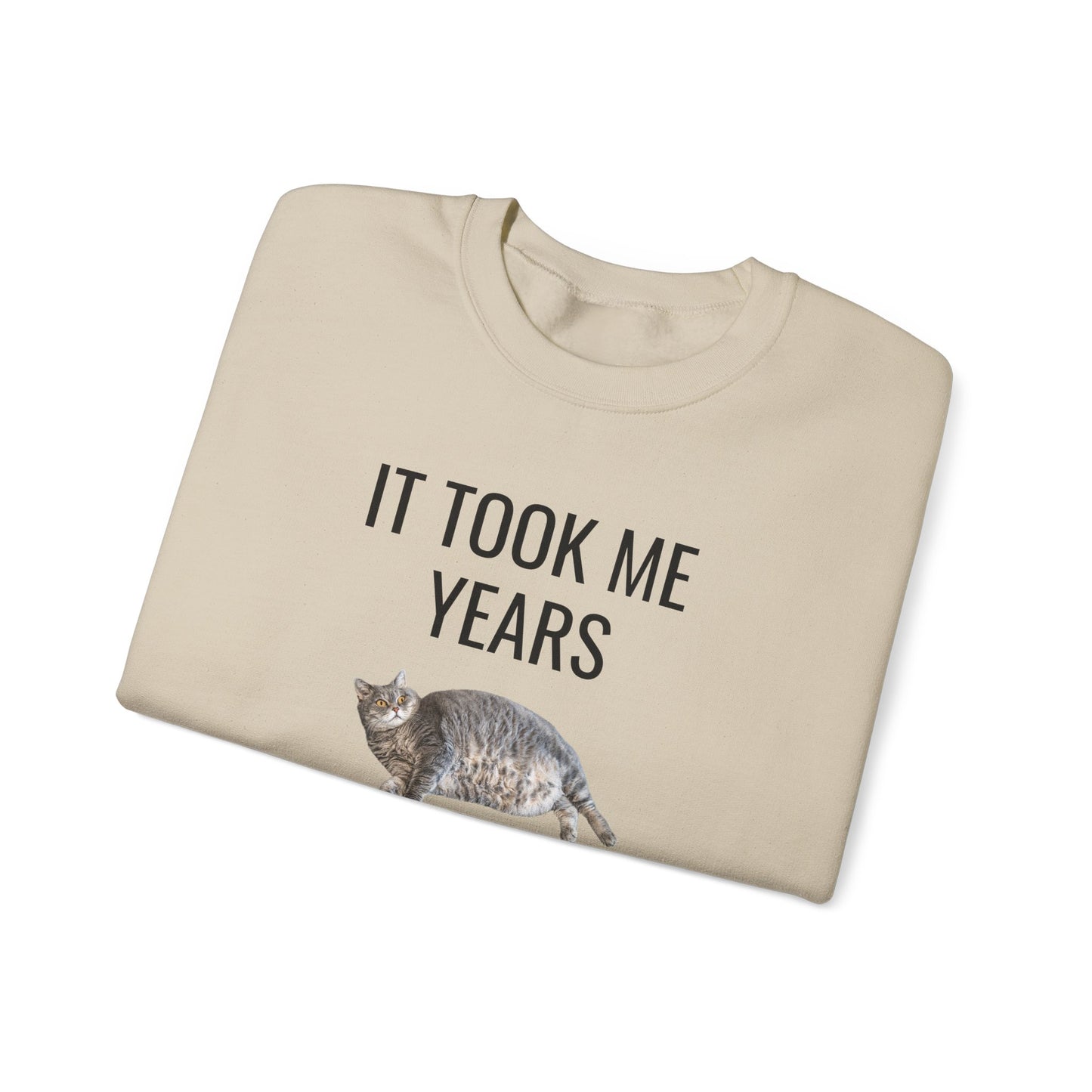 It Took Me Years to Get This Hot – Funny Chubby Cat Sweatshirt
