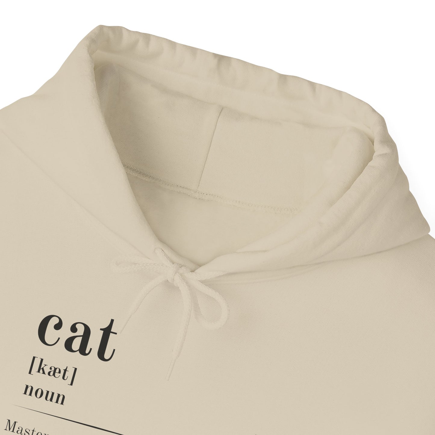 Cat Definition Hoodie