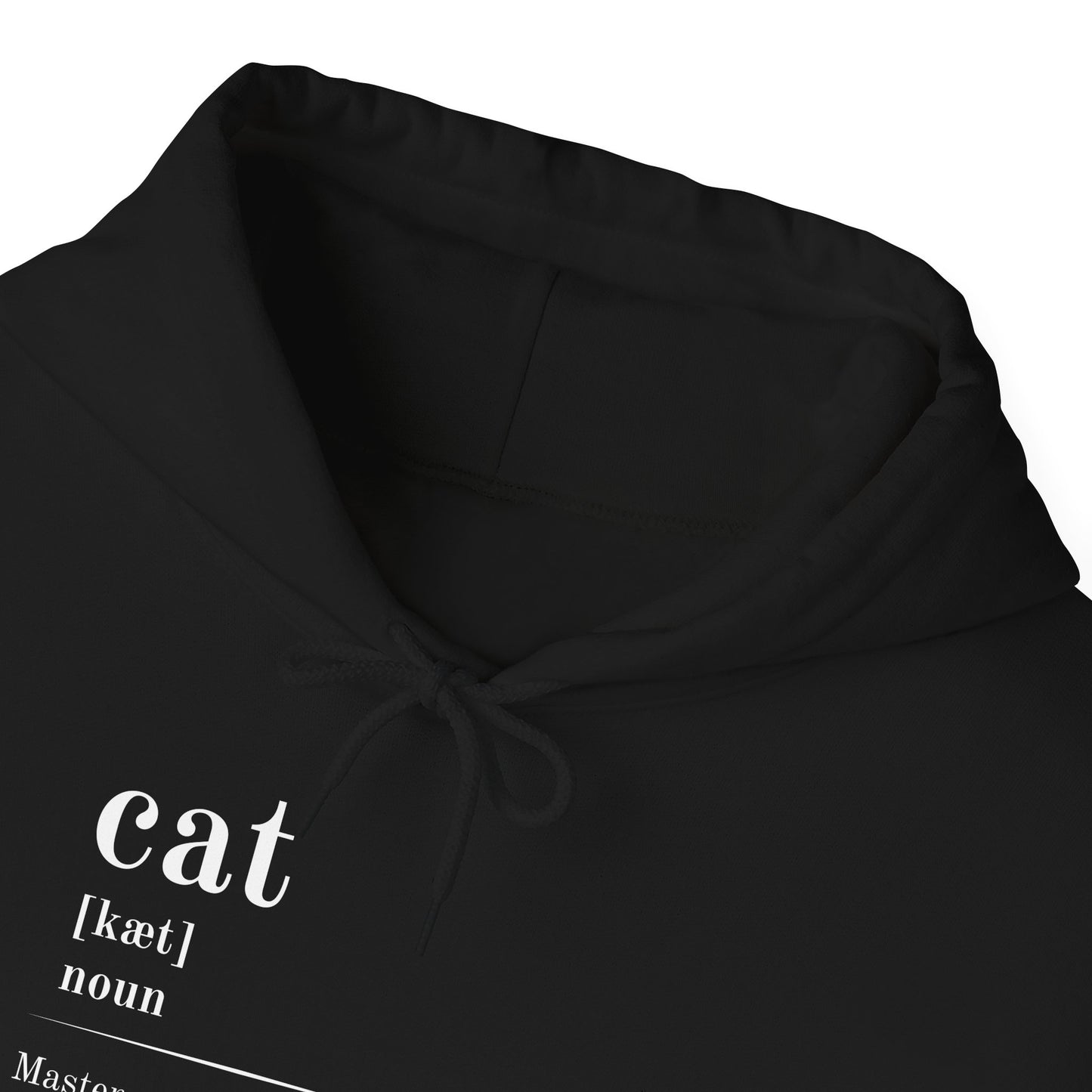 Cat Definition Hoodie