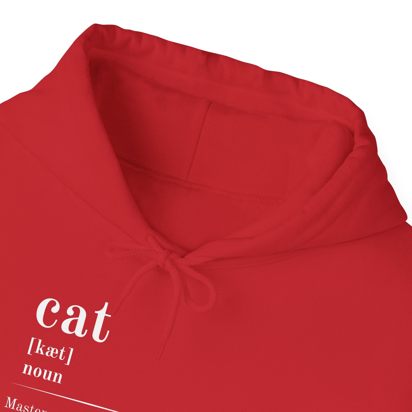 Cat Definition Hoodie