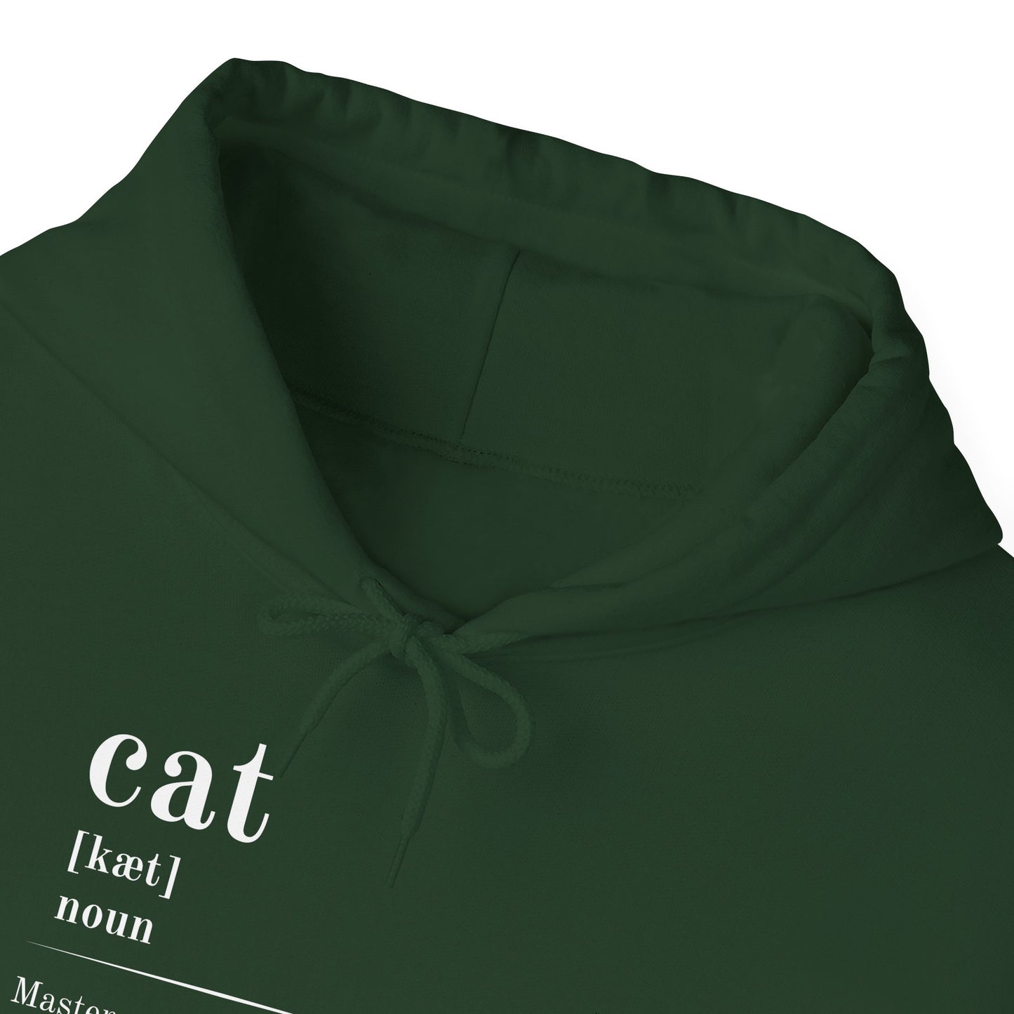 Cat Definition Hoodie