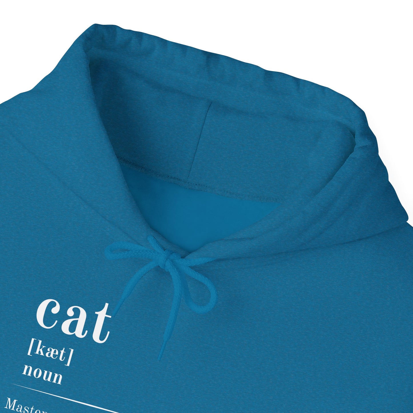 Cat Definition Hoodie
