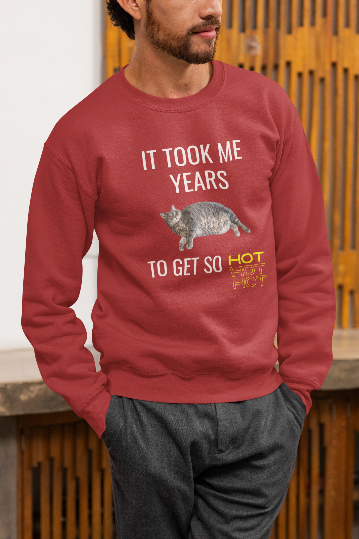 It Took Me Years to Get This Hot – Funny Chubby Cat Sweatshirt