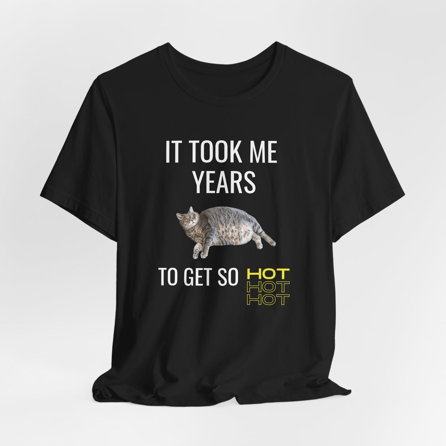 It Took Me Years to Get This Hot – Funny Chubby Cat T-Shirt (Unisex)