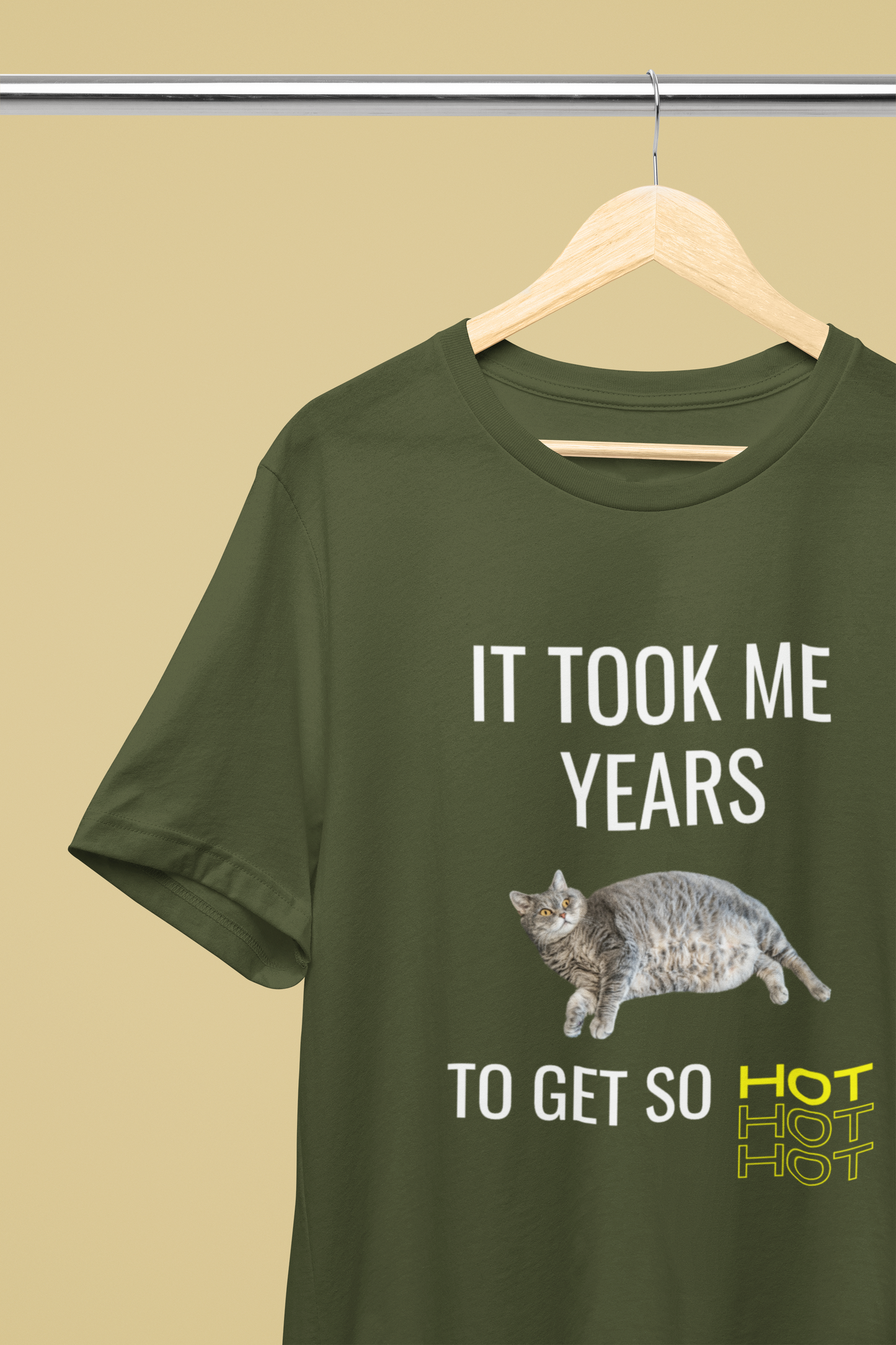 It Took Me Years to Get This Hot – Funny Chubby Cat T-Shirt (Unisex)