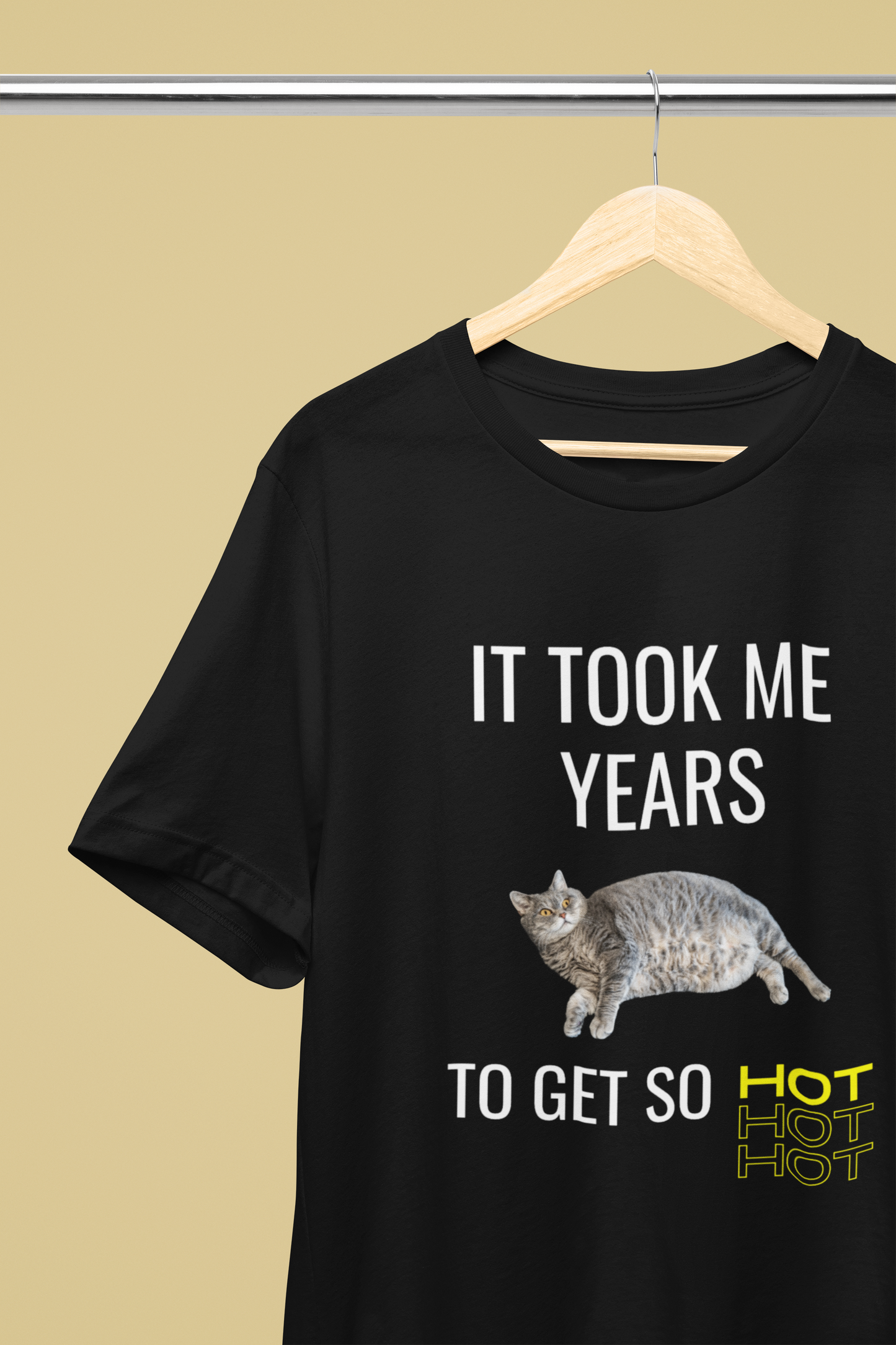 It Took Me Years to Get This Hot – Funny Chubby Cat T-Shirt (Unisex)