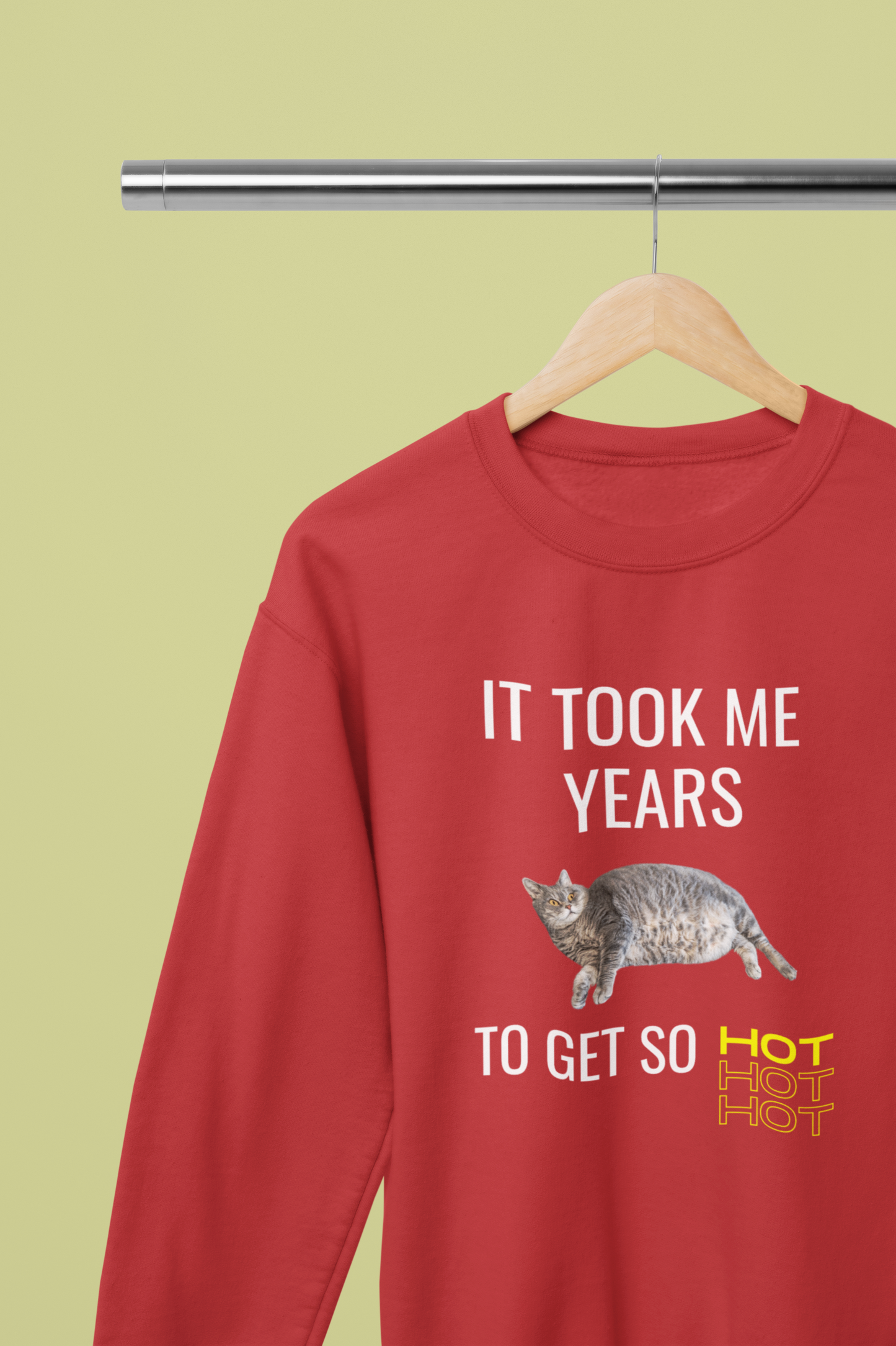 It Took Me Years to Get This Hot – Funny Chubby Cat Sweatshirt