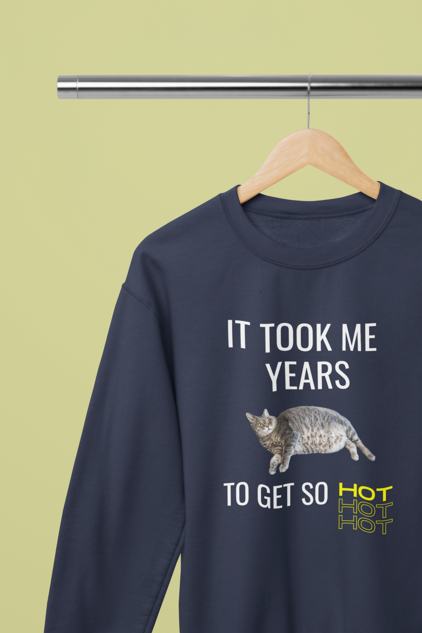 It Took Me Years to Get This Hot – Funny Chubby Cat Sweatshirt