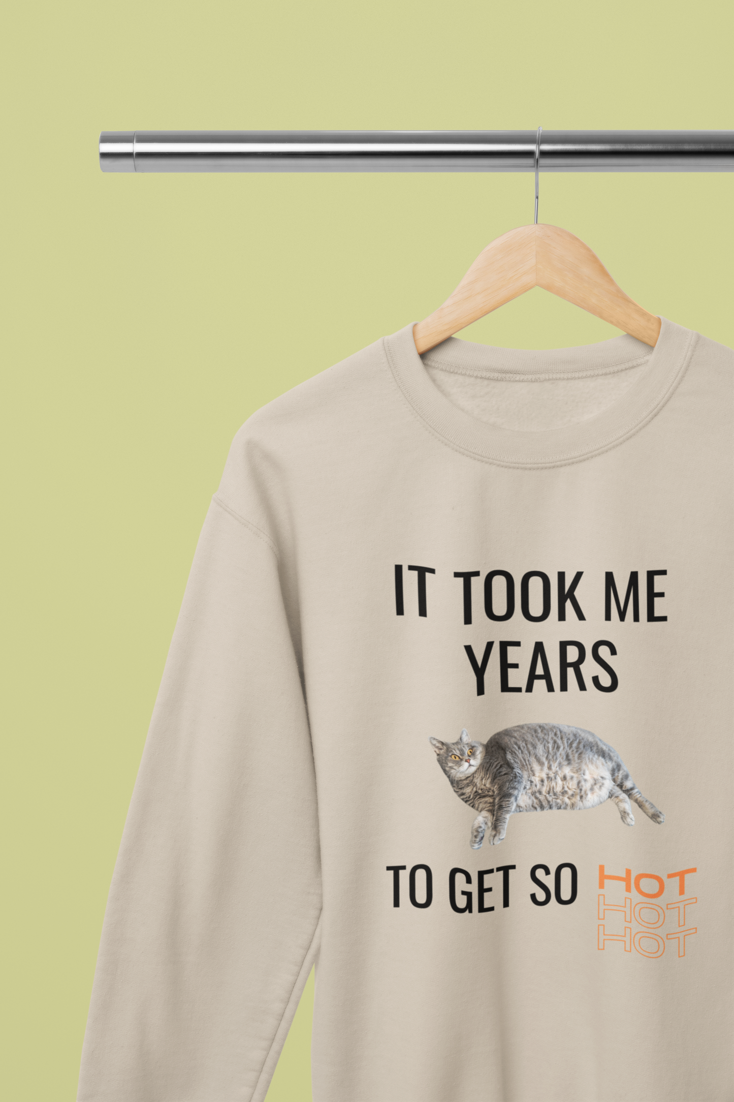 It Took Me Years to Get This Hot – Funny Chubby Cat Sweatshirt