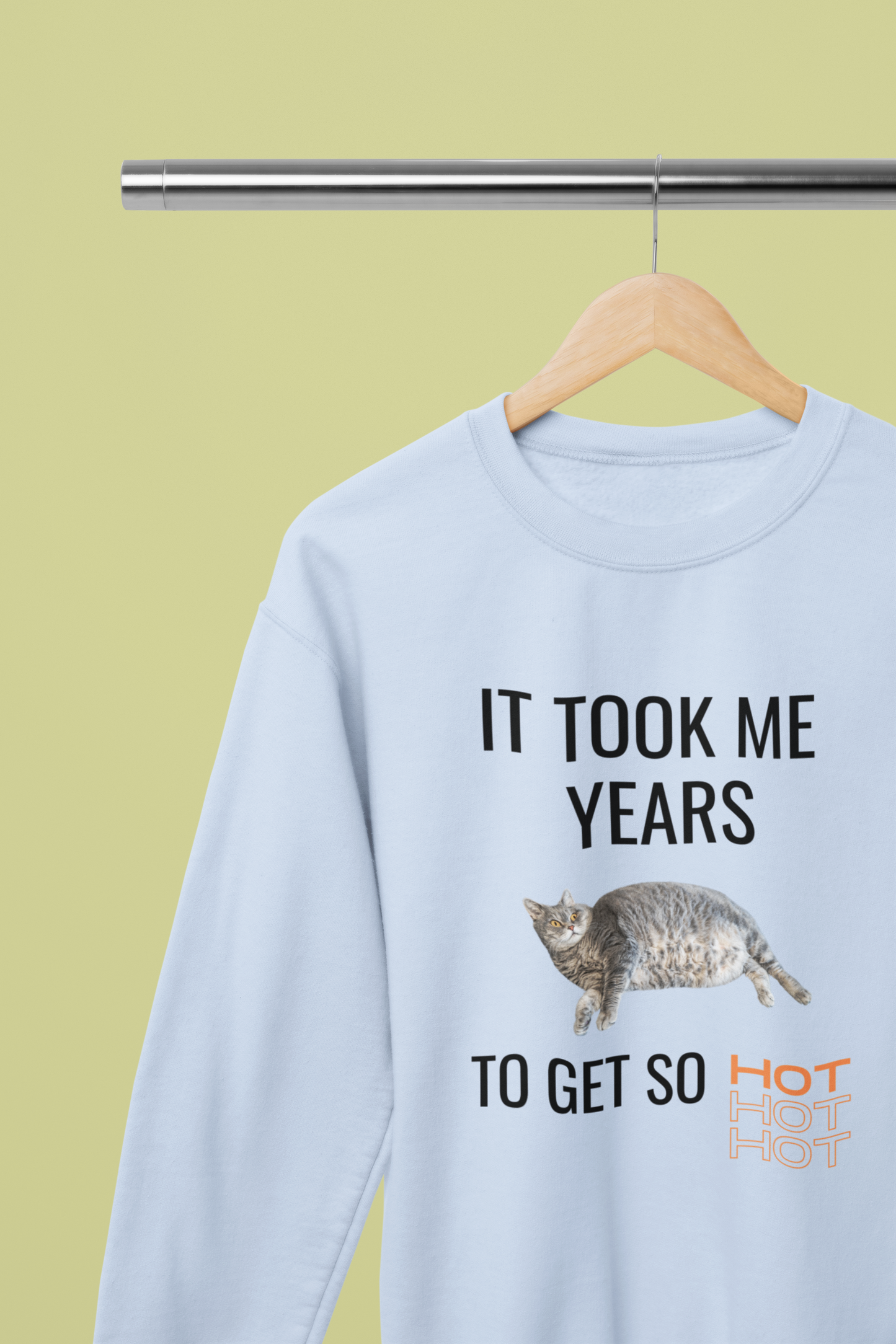 It Took Me Years to Get This Hot – Funny Chubby Cat Sweatshirt