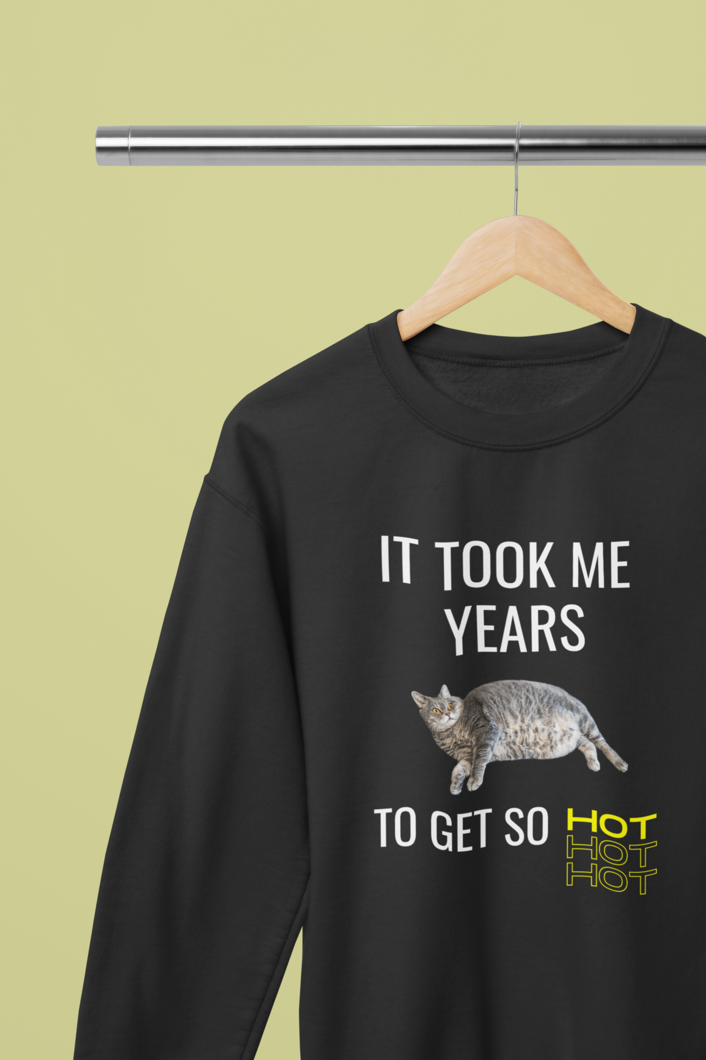 It Took Me Years to Get This Hot – Funny Chubby Cat Sweatshirt