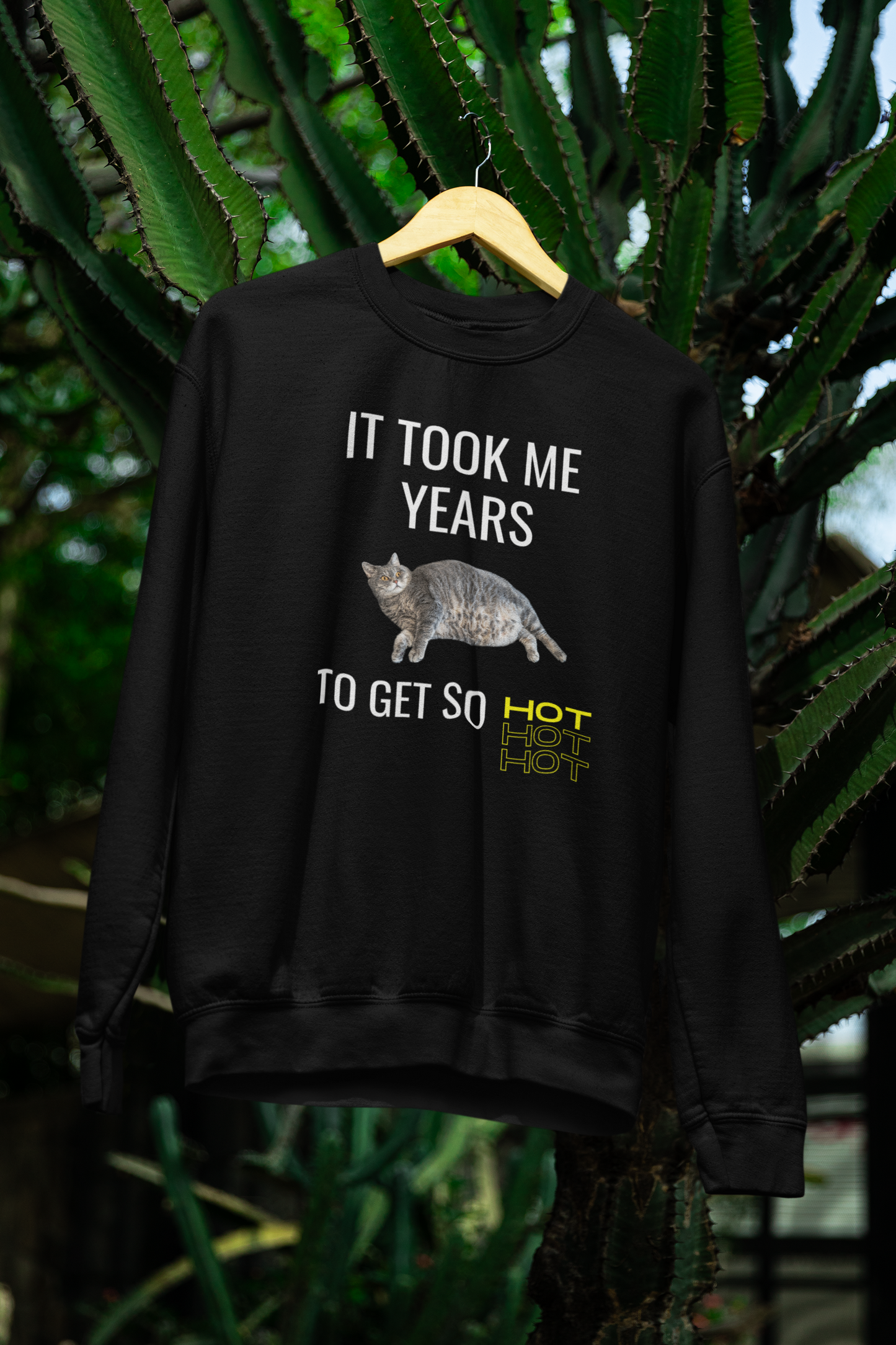 It Took Me Years to Get This Hot – Funny Chubby Cat Sweatshirt