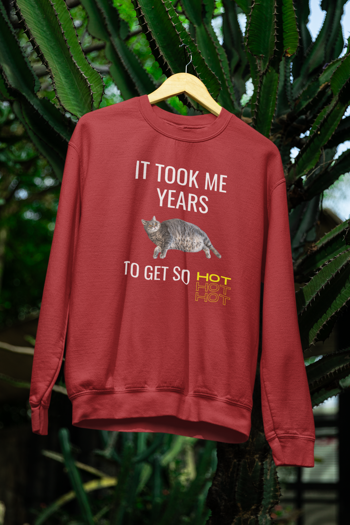 It Took Me Years to Get This Hot – Funny Chubby Cat Sweatshirt