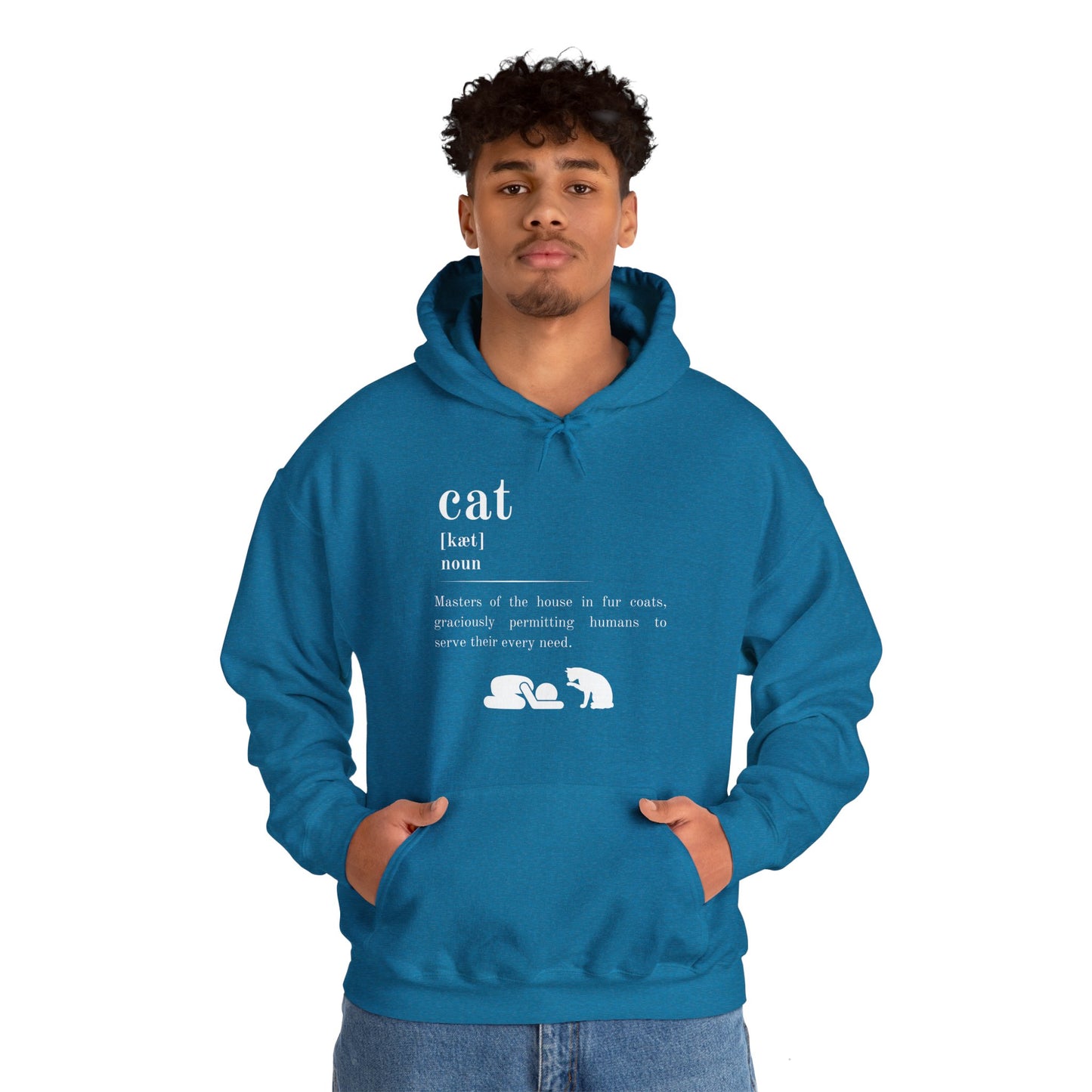 Cat Definition Hoodie