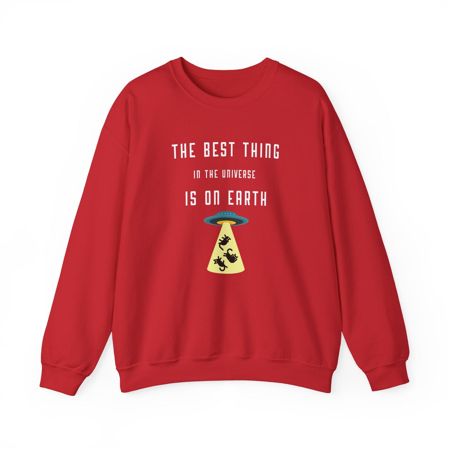 “The Best Thing in the Universe” – unisex, cozy and witty gift idea for cat lovers