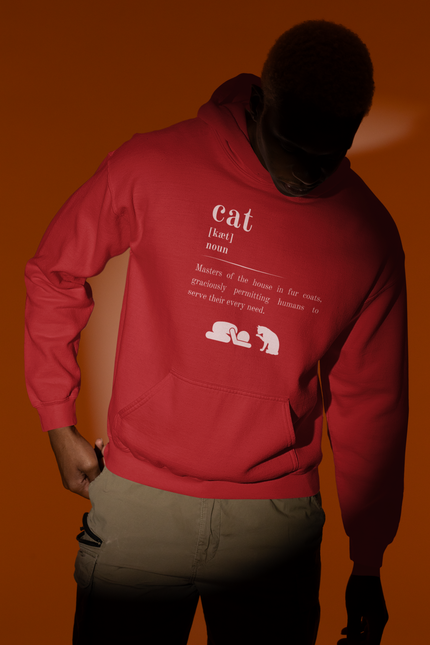 Cat Definition Hoodie