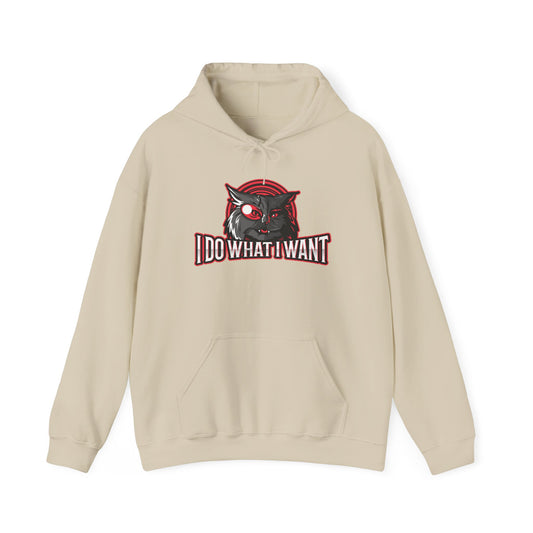 I Do What I Want Hoodie