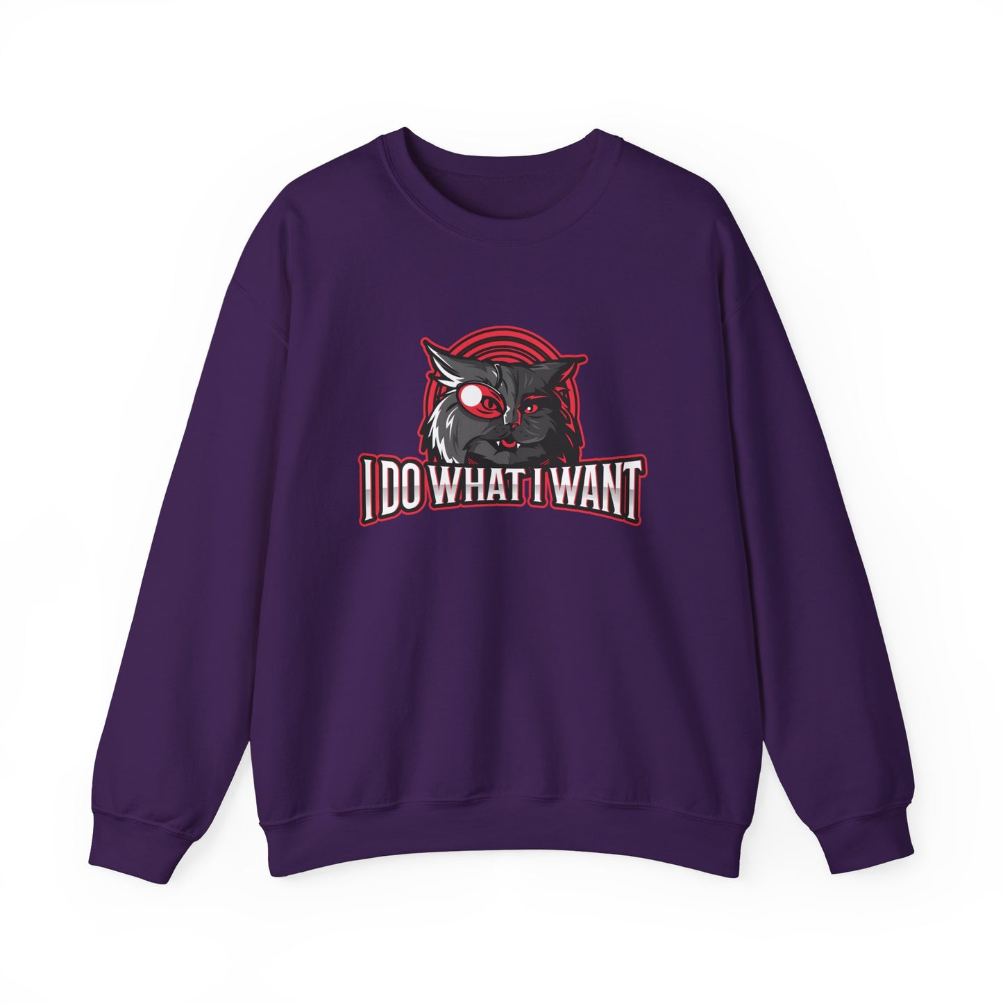 I Do What I Want Sweatshirt