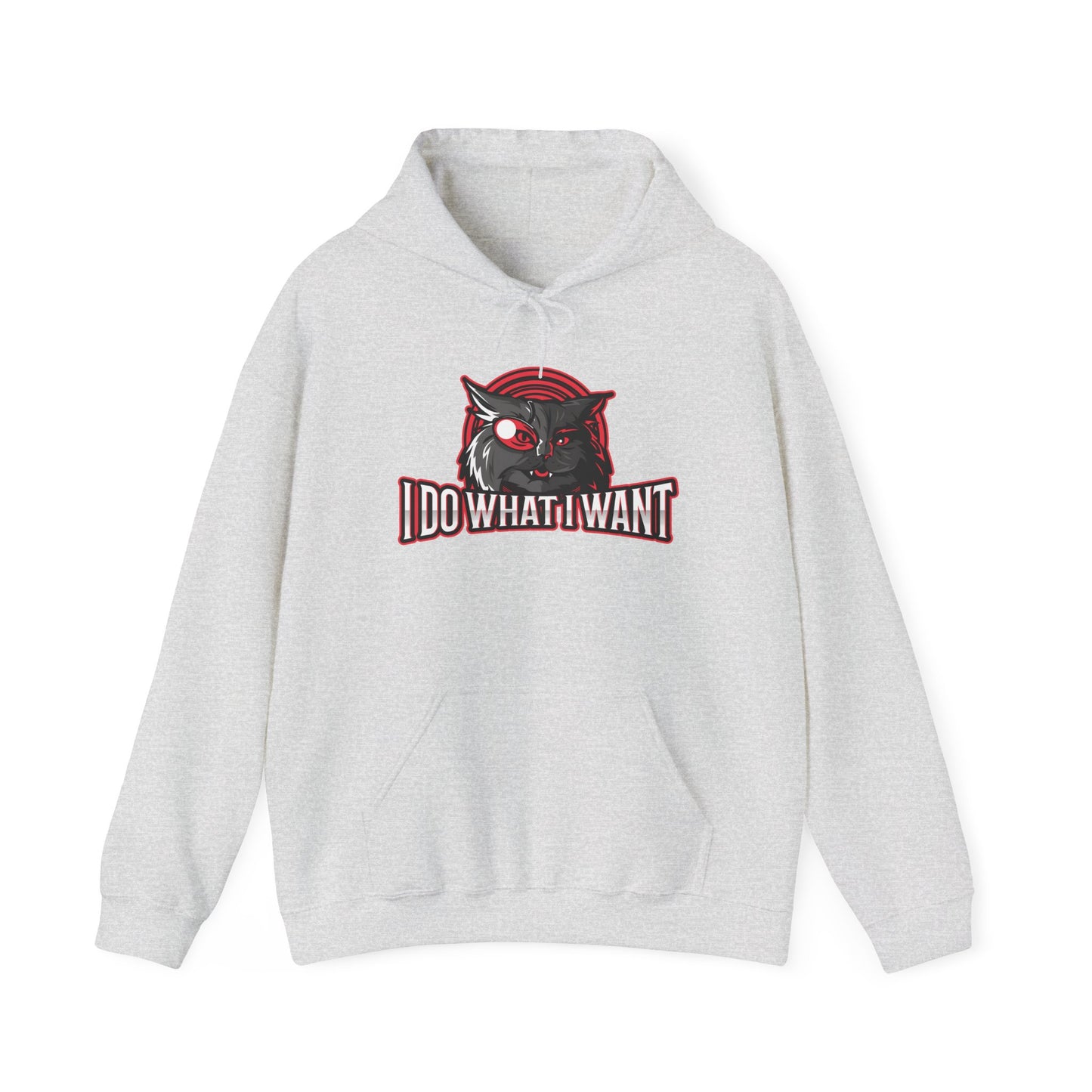 I Do What I Want Hoodie