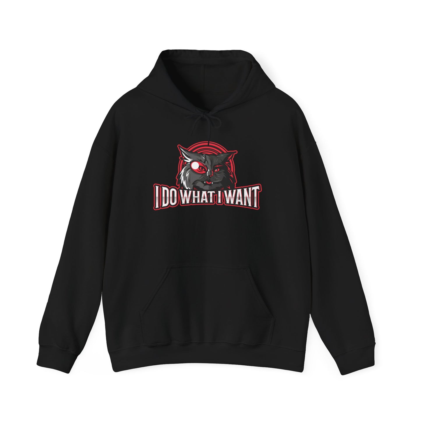 I Do What I Want Hoodie
