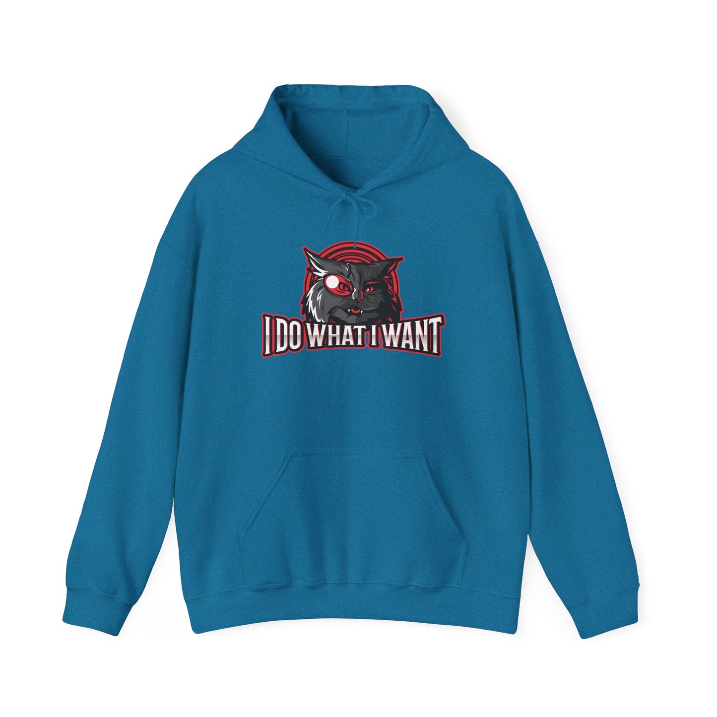 I Do What I Want Hoodie
