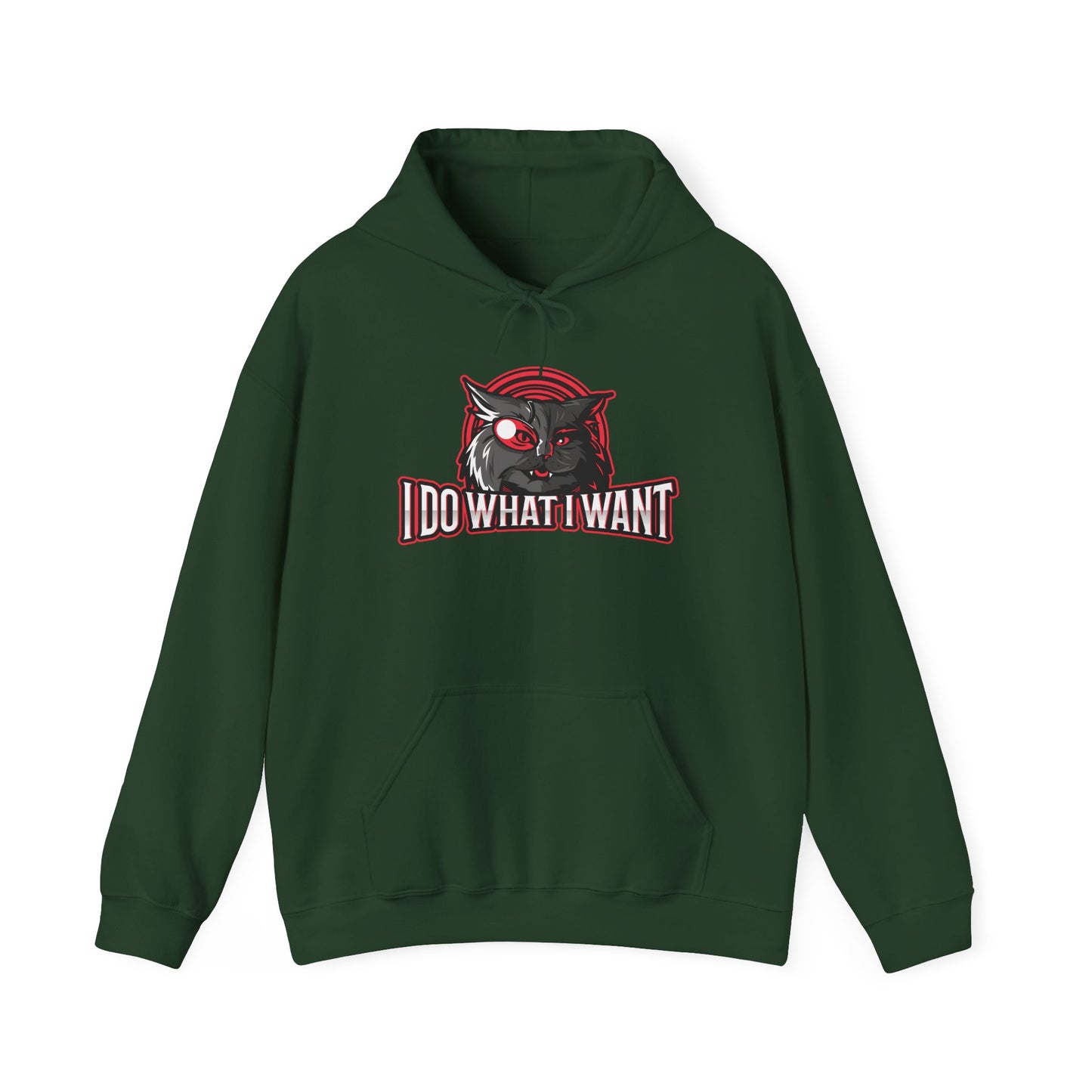 I Do What I Want Hoodie