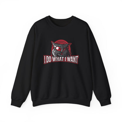 I Do What I Want Sweatshirt