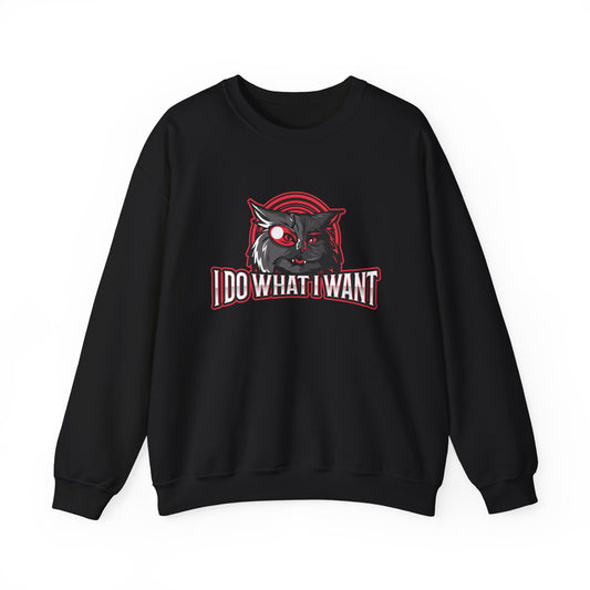 I Do What I Want Sweatshirt