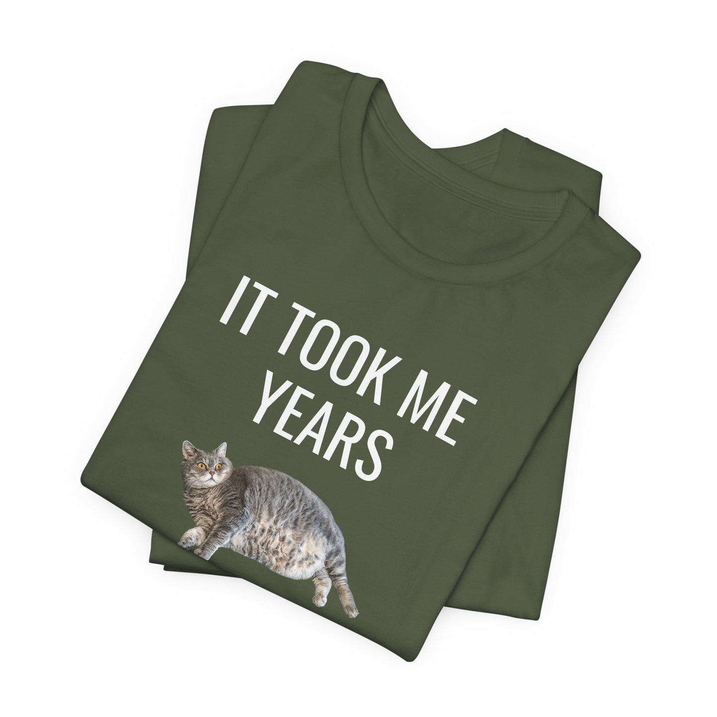 It Took Me Years to Get This Hot – Funny Chubby Cat T-Shirt (Unisex)