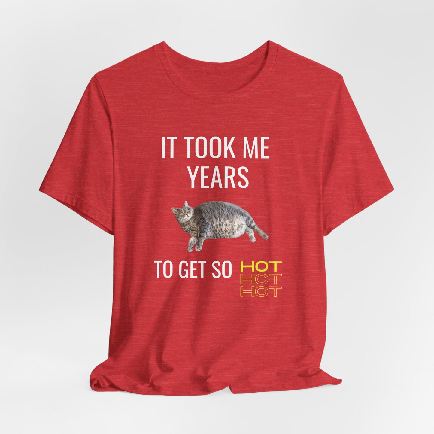It Took Me Years to Get This Hot – Funny Chubby Cat T-Shirt (Unisex)