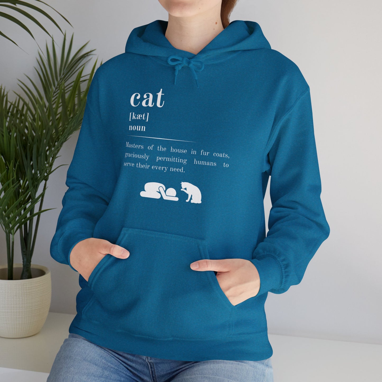 Cat Definition Hoodie
