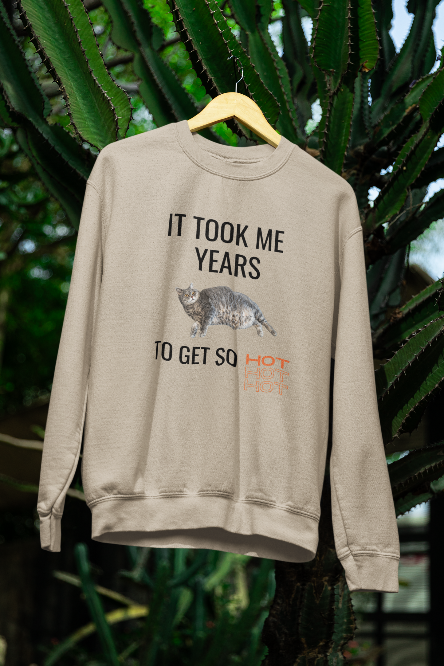 It Took Me Years to Get This Hot – Funny Chubby Cat Sweatshirt